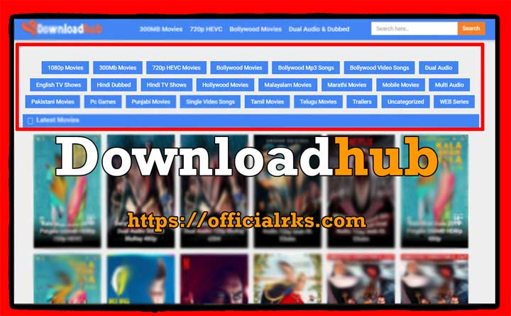 DownloadHub 2019 - 300MB Dual Audio Bollywood Movies | Know all about DownloadHub.in
